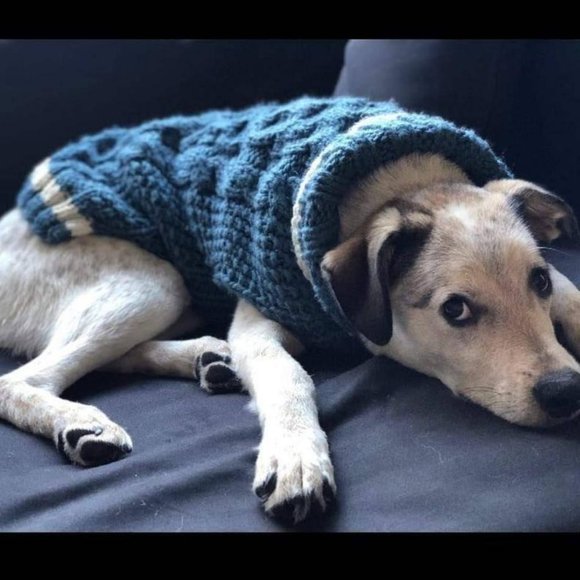 L "The Original" Honeycomb CableKnit Dog Sweater - Picture 1 of 12